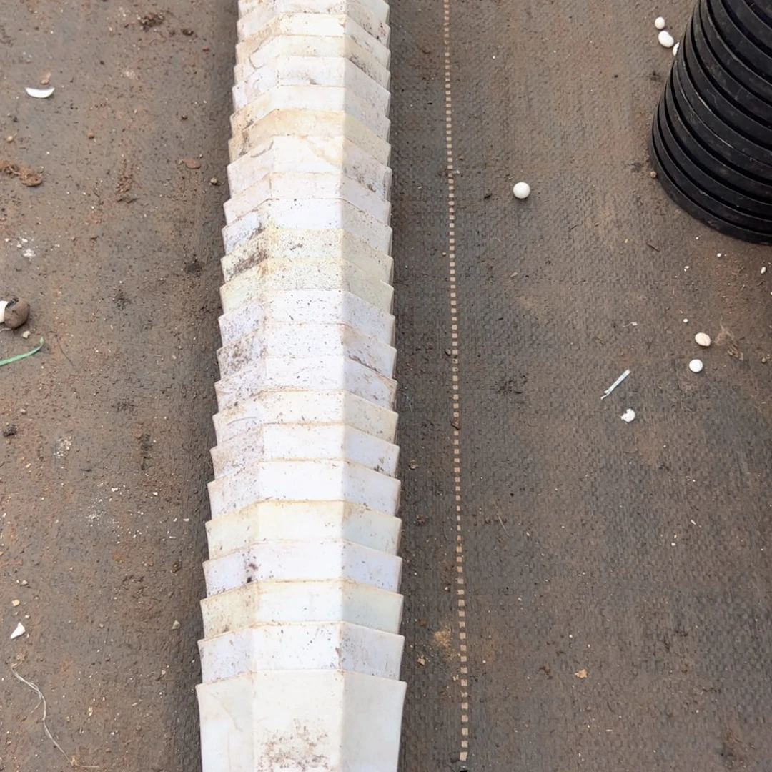 白八角盆9口径9高 29个