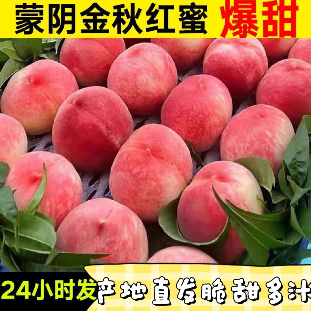山东蒙阴金秋红蜜桃新鲜水蜜桃冬桃当季水果迎霜红脆甜桃果园直发
