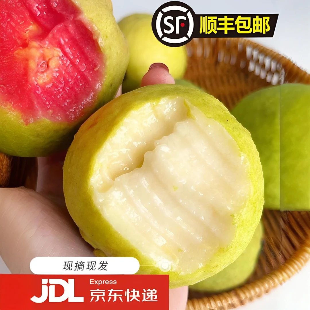 【顺丰包邮】广西软心红心芭乐番石榴现摘白心奶油芭乐1/3/5斤