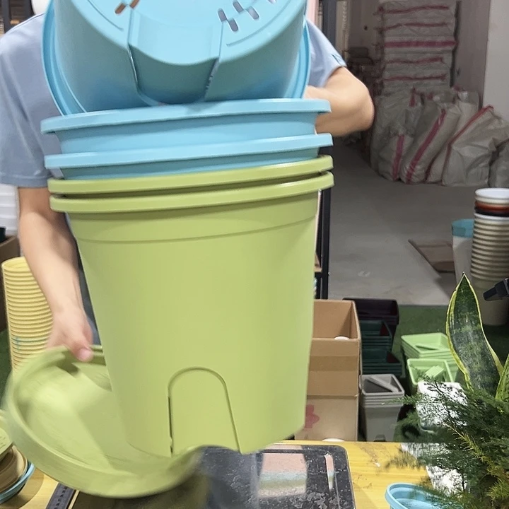 特价圆控300口29.5高27.5混色带托5只