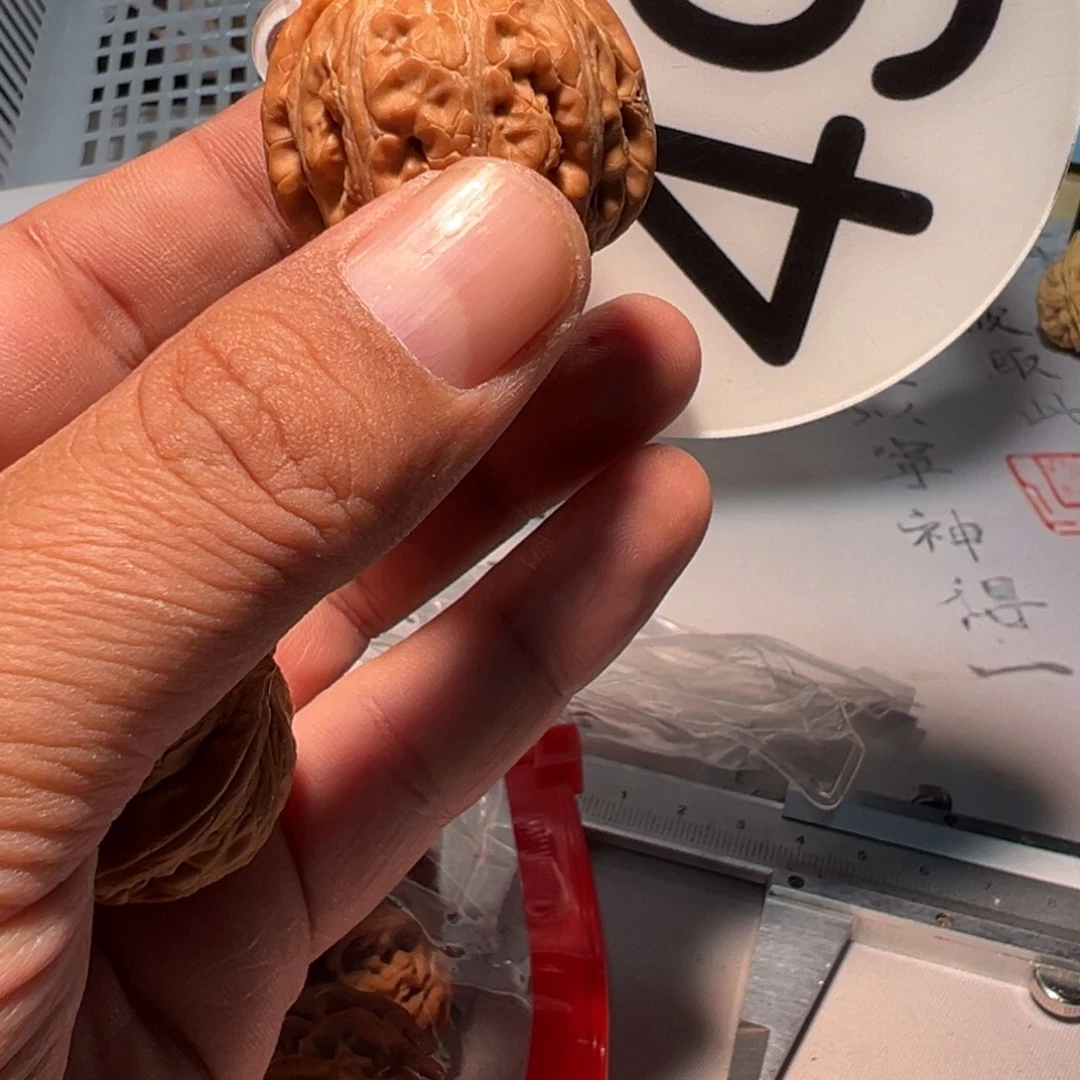 ʕ***⁸文玩核桃，白色49号