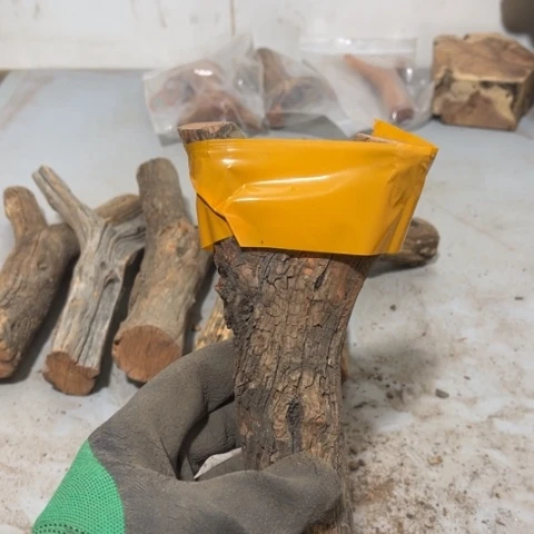 大果紫檀（缅甸花梨）捌*