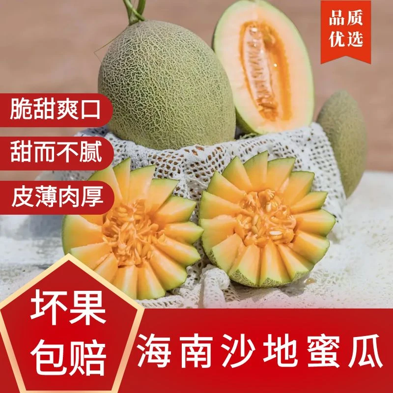 【鹿品味】海南沙地蜜瓜西州蜜晓蜜25哈密瓜新鲜脆甜甜瓜当季水果