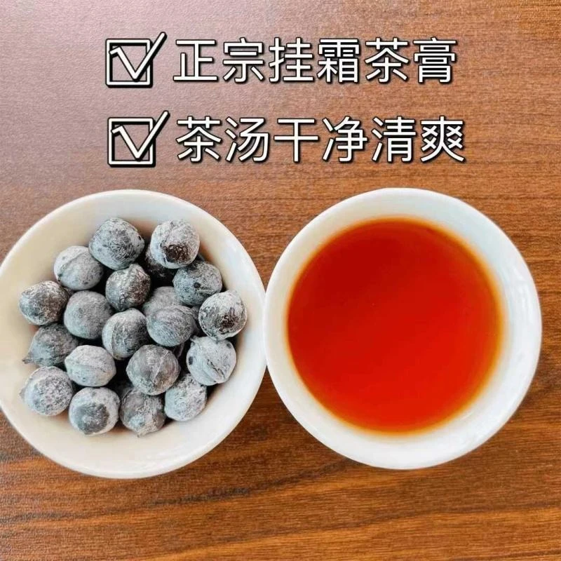 【5.0加强版】陈皮茶膏古树普洱茶萃取茶叶速溶浓缩提取