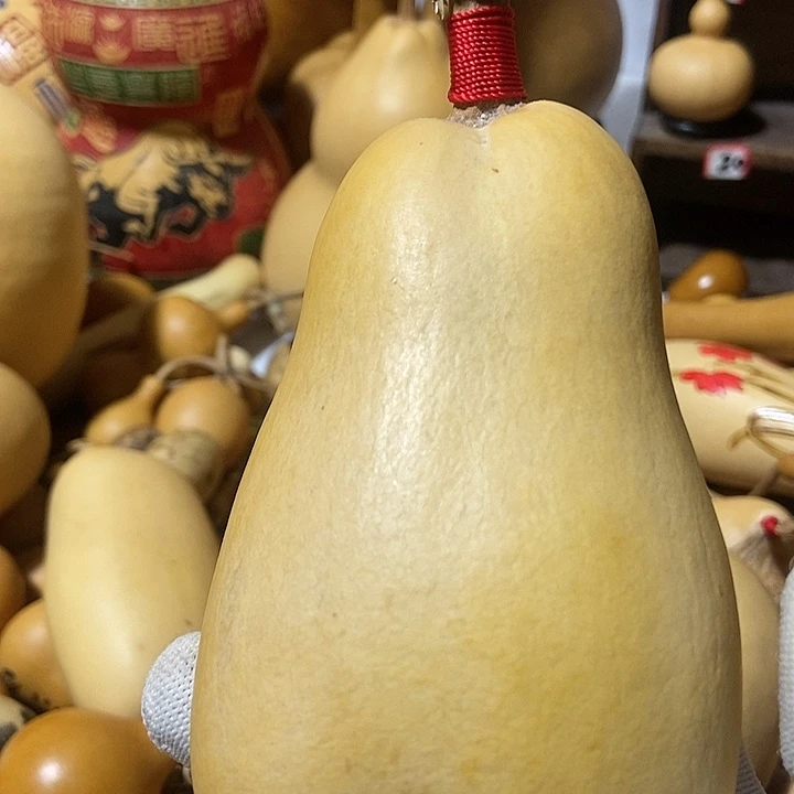 渔****直播间里的拍品链接