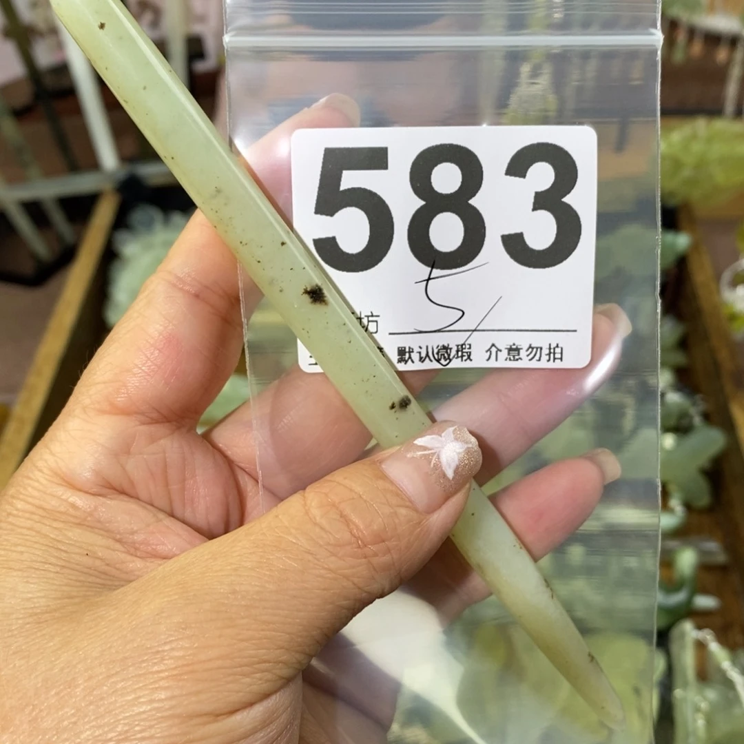 蛇纹石玉未镶嵌玉簪轩**贝