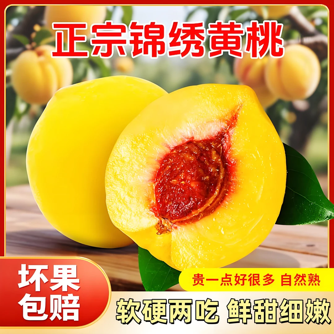 锦绣黄桃新鲜水果时令应季孕妇毛桃现摘黄金蜜桃非黄金油桃现货