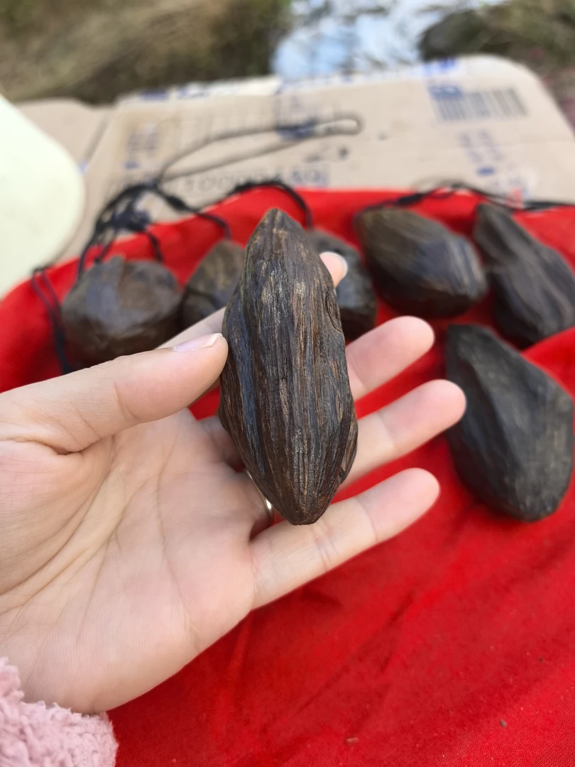 深山土特产高山 沉稥