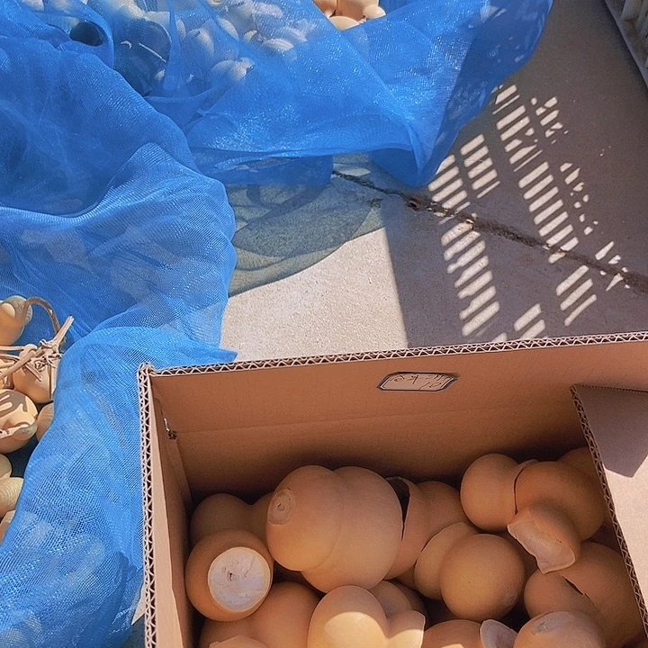 苍耳二胖恭喜发财