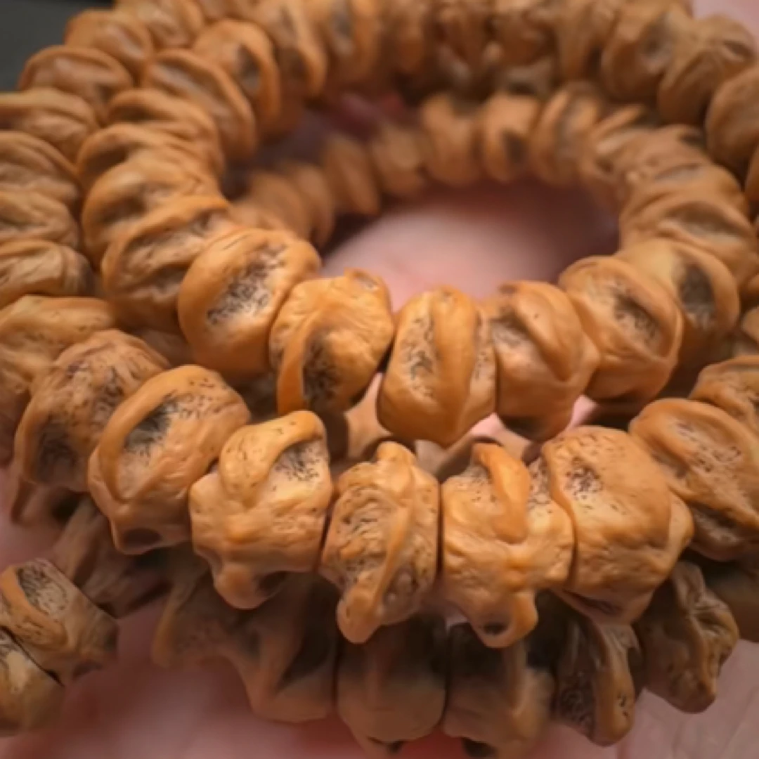 【脊】藏切 原桩横打