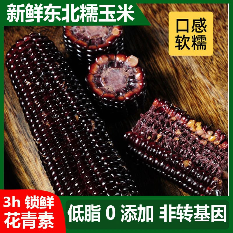 【试吃5棒】25年头茬香甜软糯黑糯玉米花青素代餐儿童老人12根6-7斤