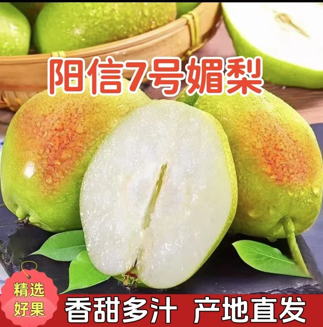 正宗阳信媚梨7号香梨新鲜当季脆甜多汁产地直发