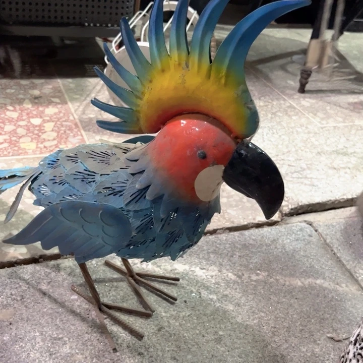 长***红微瑕微瑕微瑕微瑕