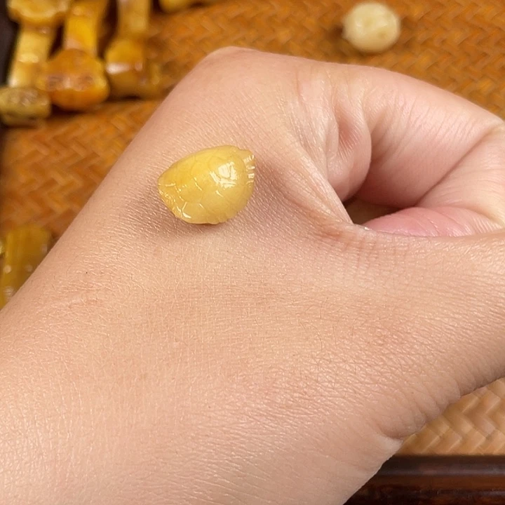 鹿骨其他驼骨驼骨驼骨98