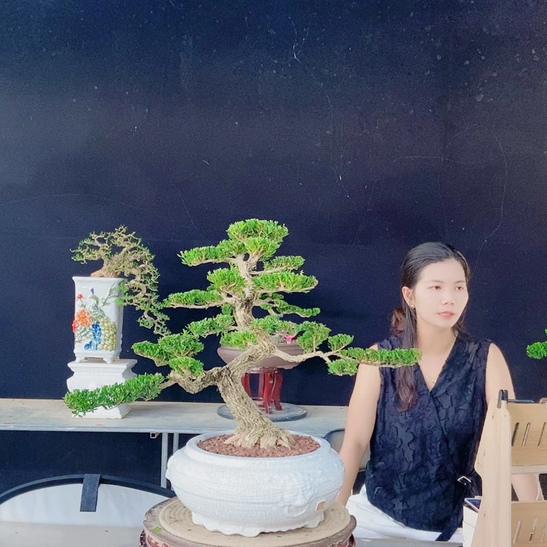 当前无花朵，栽培后可花朵
