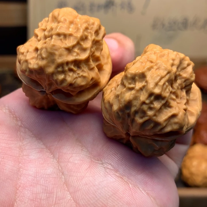 文玩核桃把件40至尊蟾王