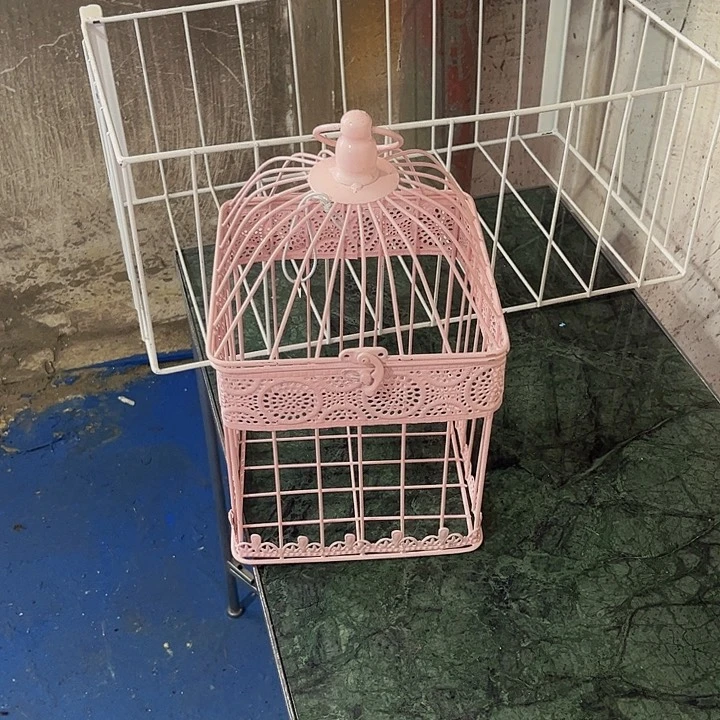 哈哈哈哈哈哈哈哈哈哈哈哈