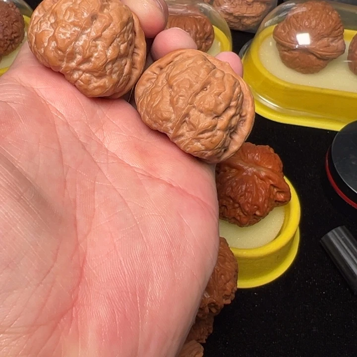 核桃40肉娃，珍藏款