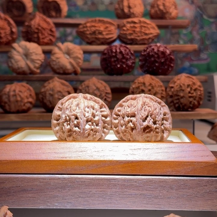 E***赫43全品白狮子球白饱满