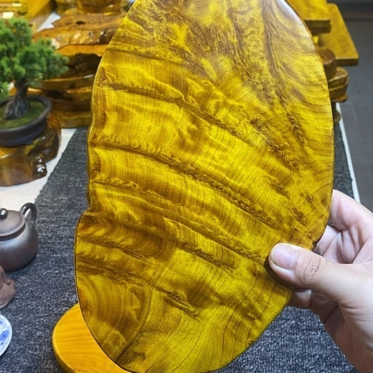 3***缘香杉干泡干泡干泡