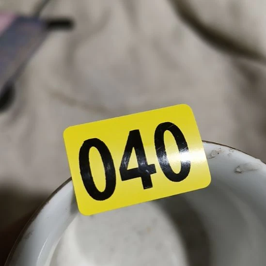 ╭***╮民俗文化研究研究