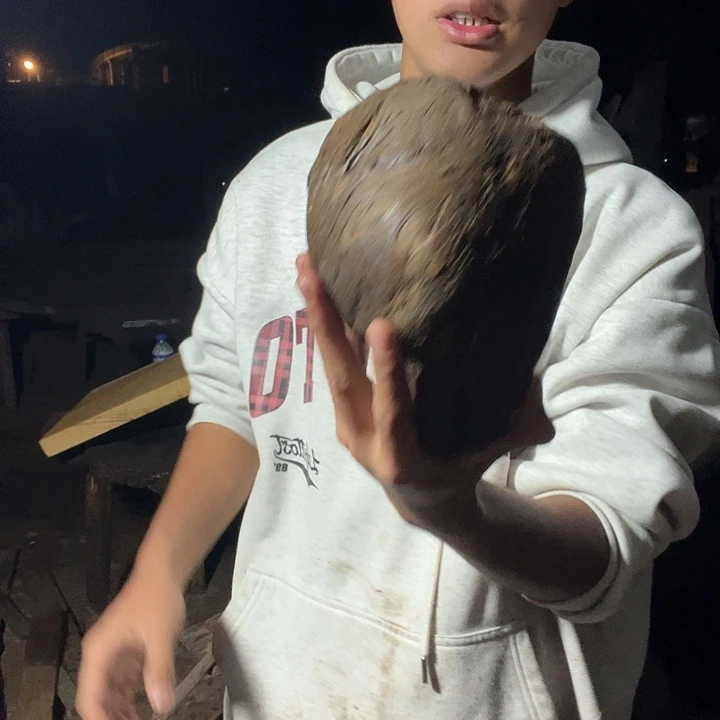 阴沉木楠木原材料