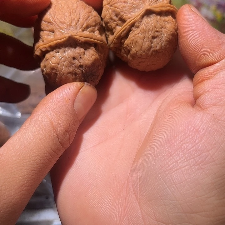 文玩核桃吊坠滇西14