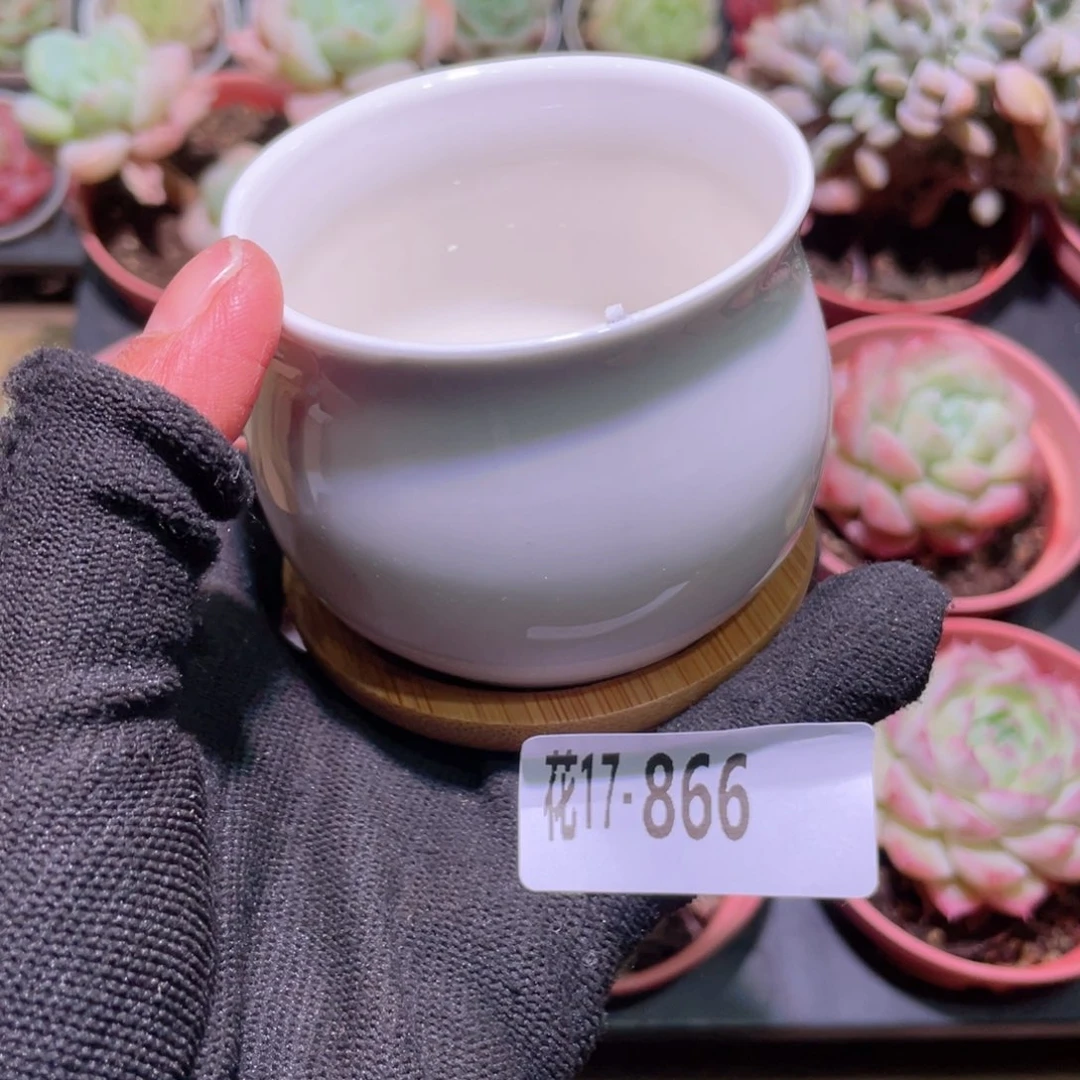 花利美17-866花盆一个多库存