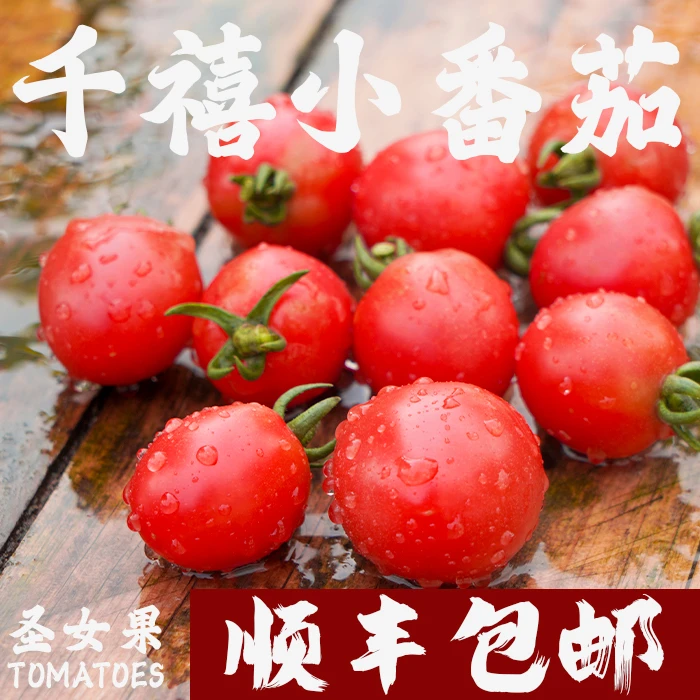 【建康啊】攀枝花米易千禧小番茄酸甜多汁现采现发顺丰包邮到家