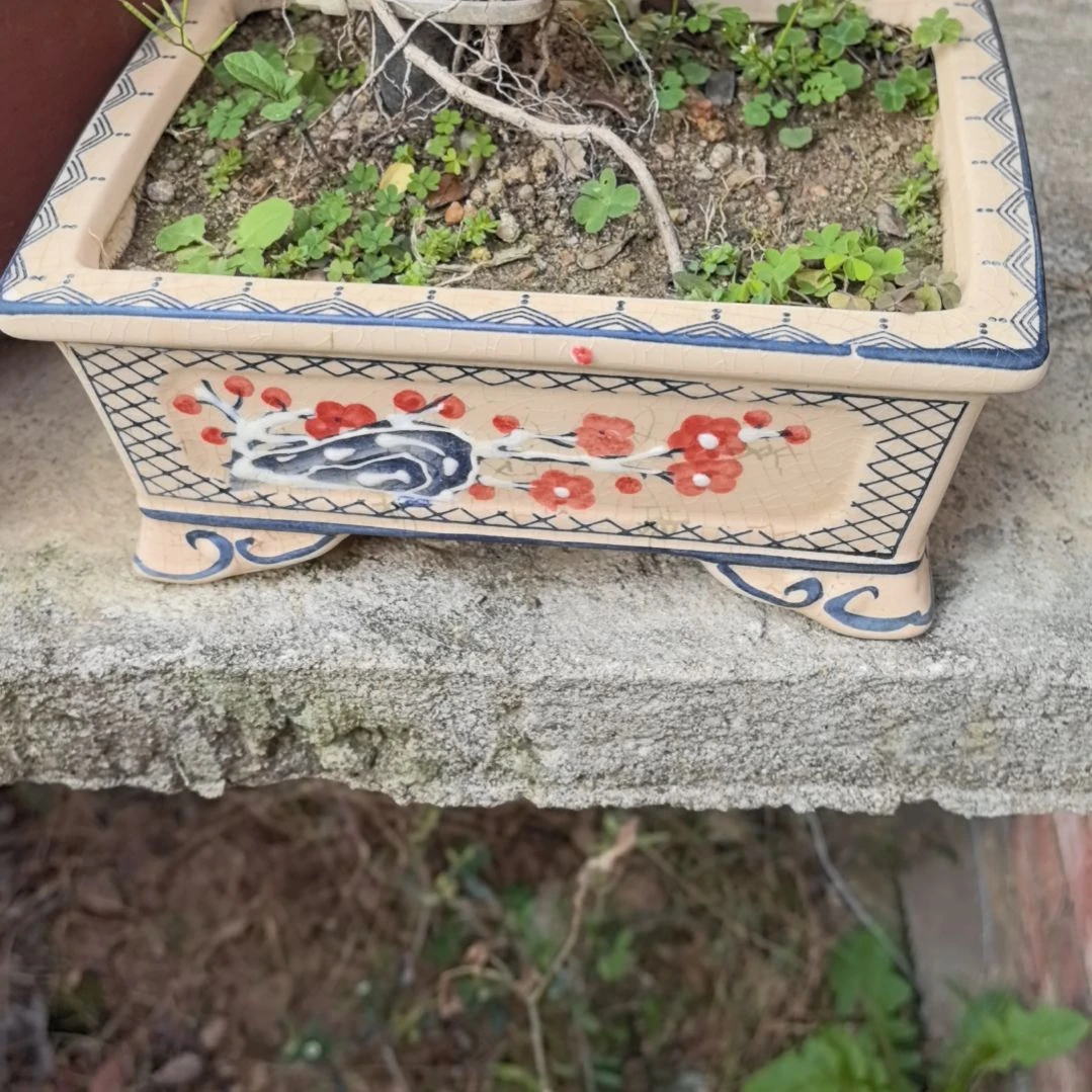 无铅玻璃一**意瓷器花盆两个包邮