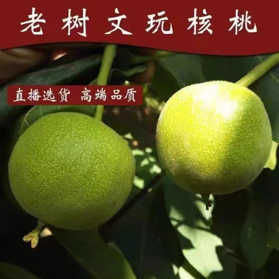 麻核桃把件四座楼青皮尺寸随机款式可选55