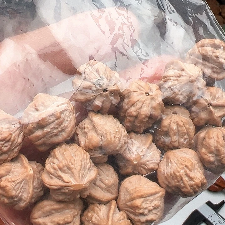 吊坠猴头核桃?****?金蟾15超矮太空舱