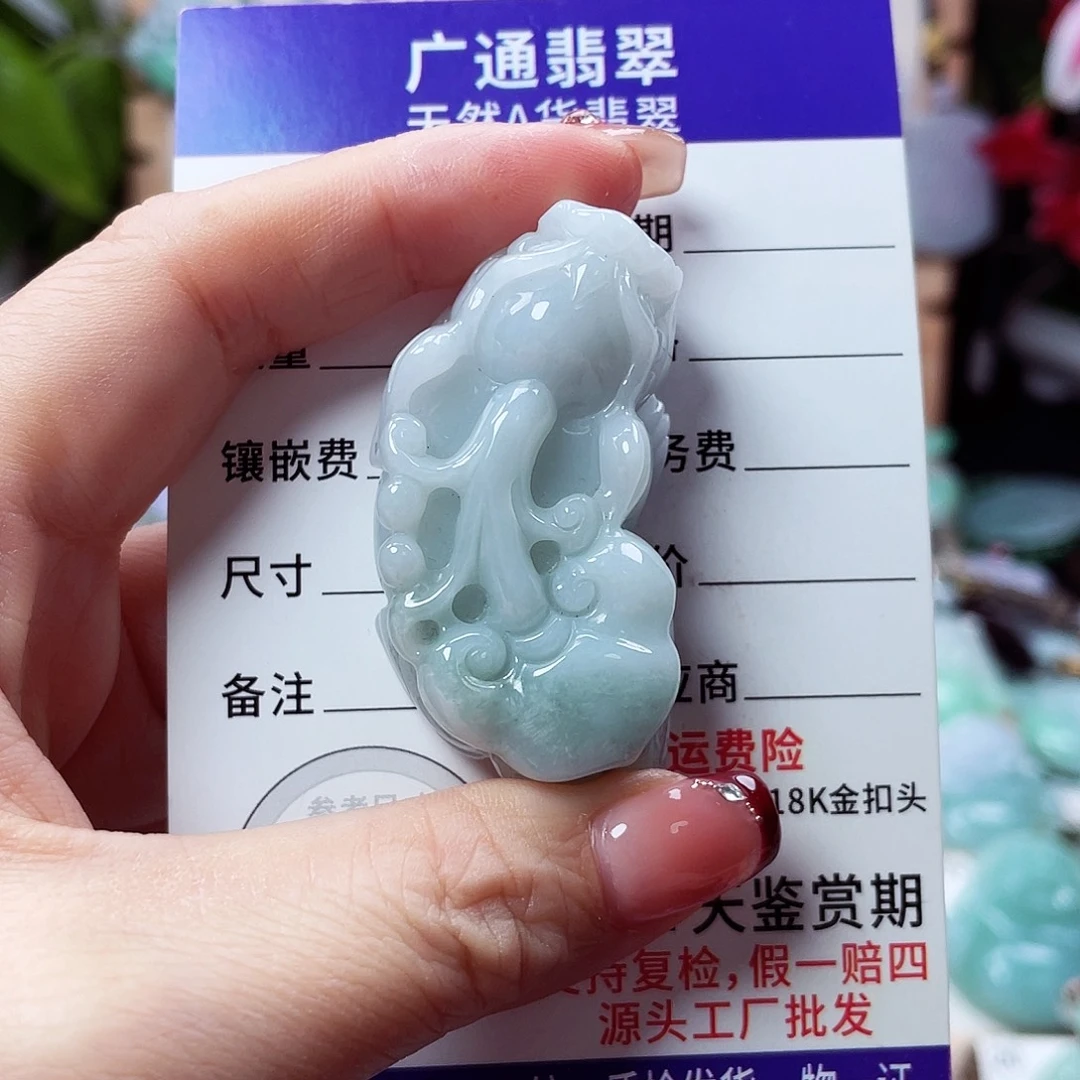 翡翠未镶嵌颈饰貔貅，有棉介意勿拍47