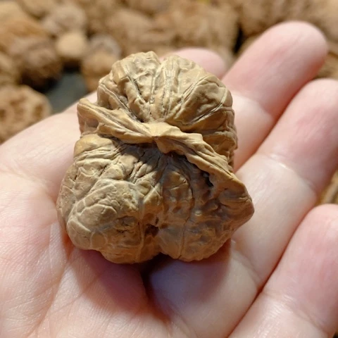 文玩核桃把件异性一个