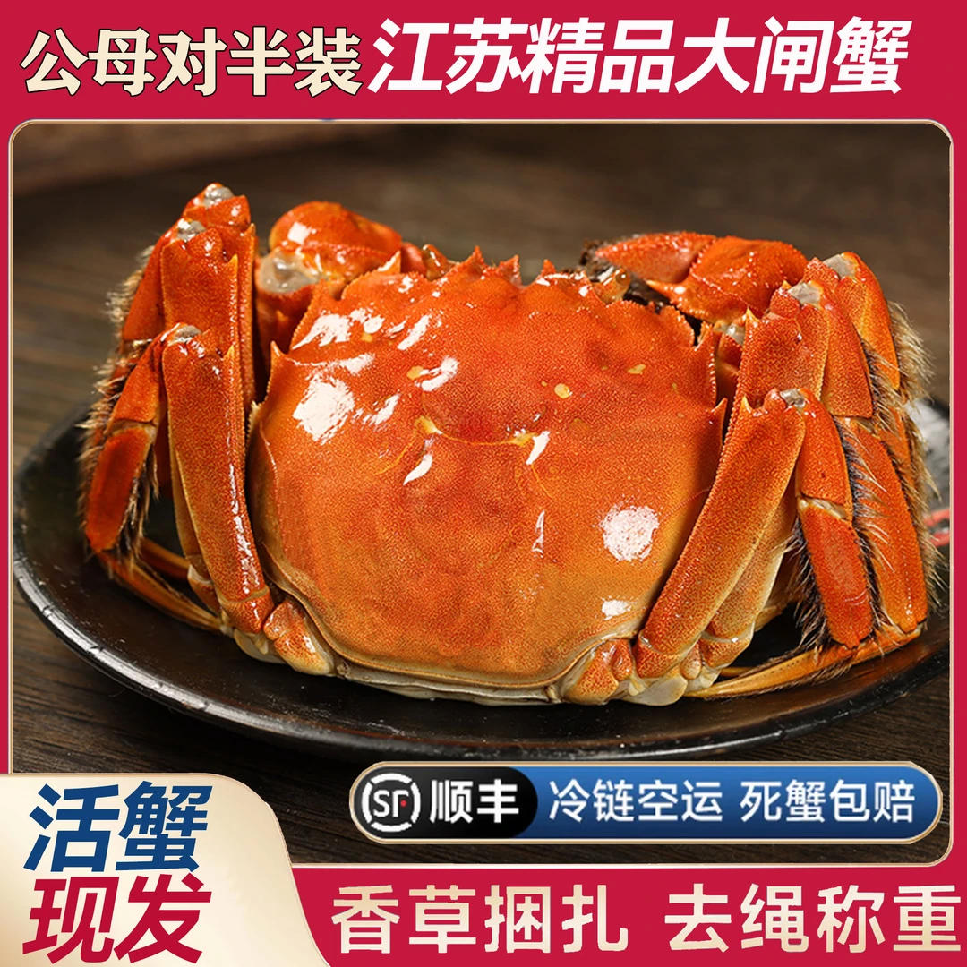 【江苏活蟹】大闸蟹 公(5.0-4.7两) 母(4.0-3.7两)6-10只 顺丰包邮