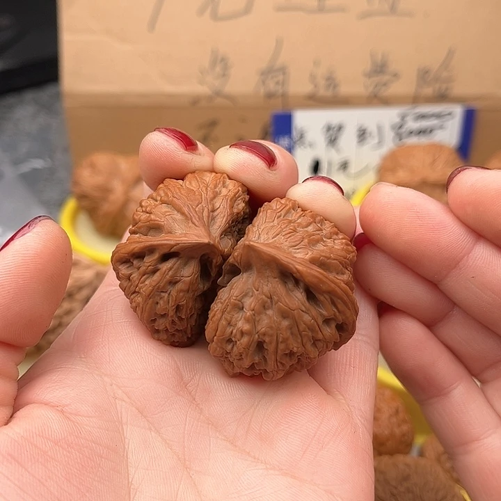 文玩核桃把件乌*庭异形50