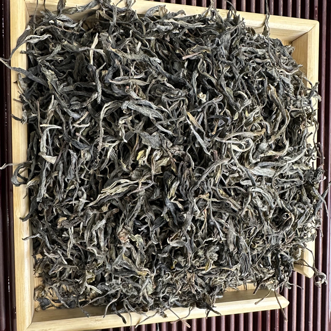 2024年 森林秘境古树  普洱茶 生茶 散茶