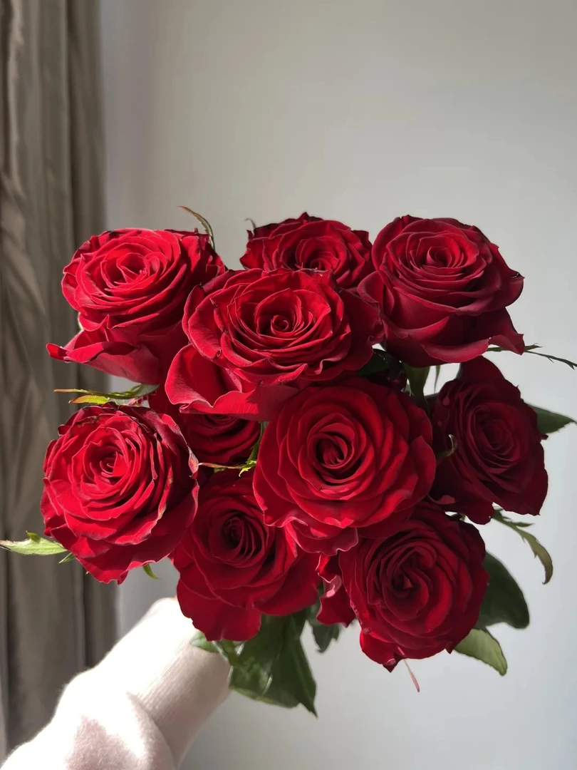 【源头优选】红玫瑰-任意2单鲜花包邮 发货后不支持退款