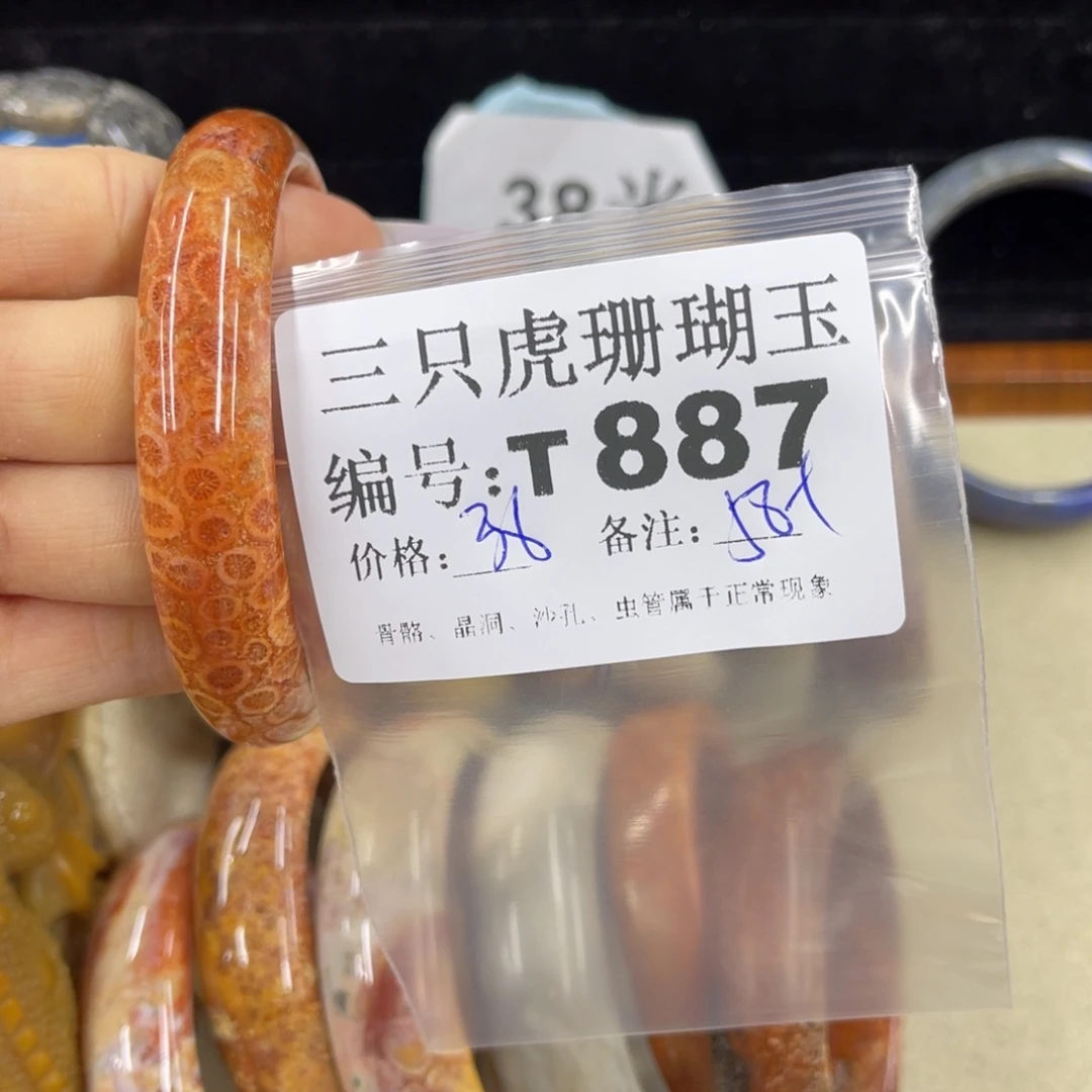 硅化珊瑚（珊瑚玉）h未镶嵌