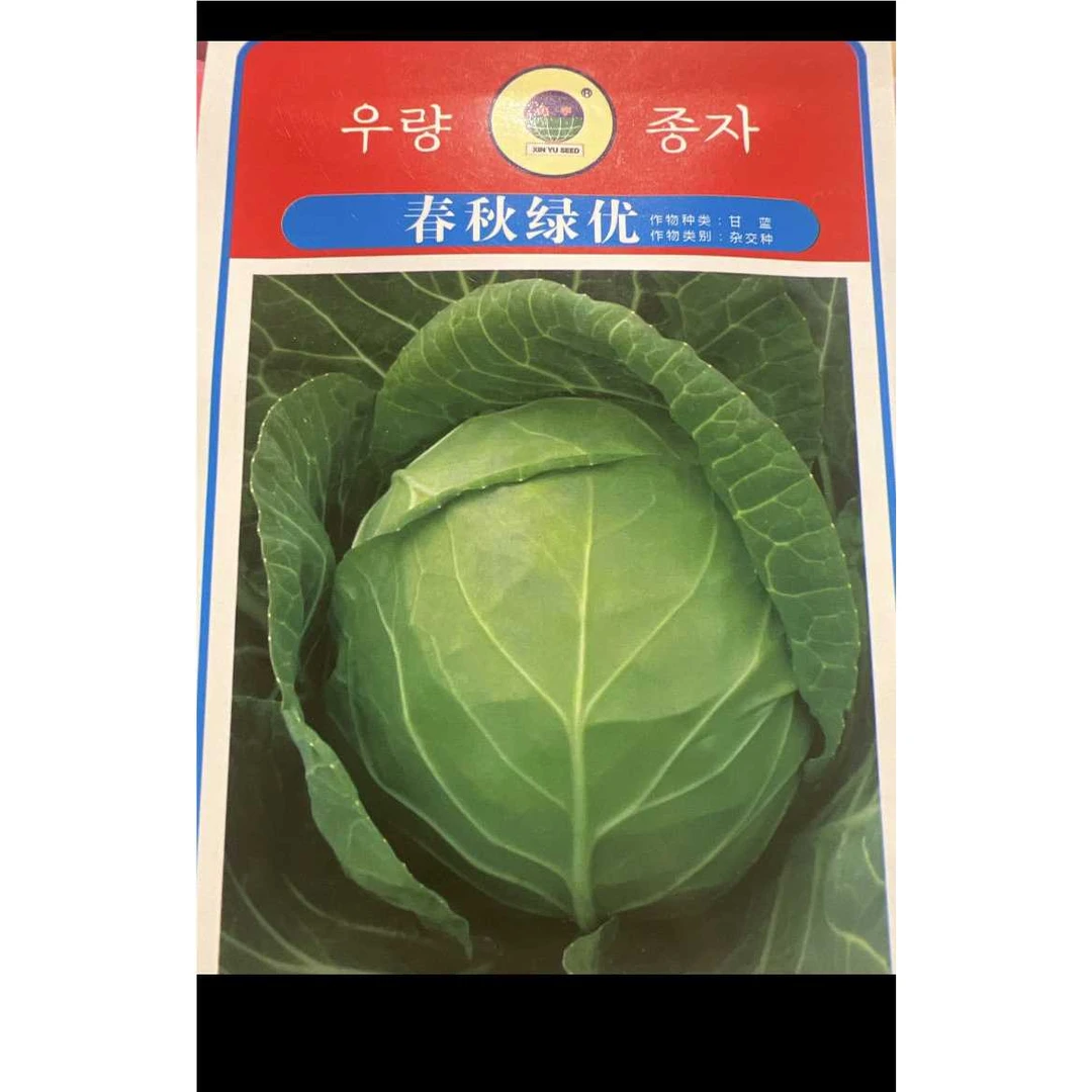 jj绿甘蓝种子今年新种今年新种