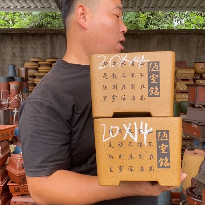 紫砂花盆紫砂花盆盆栽花卉苗木种植