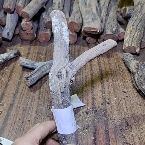 小***高火琉璃原杈，不保沉水，慎拍！