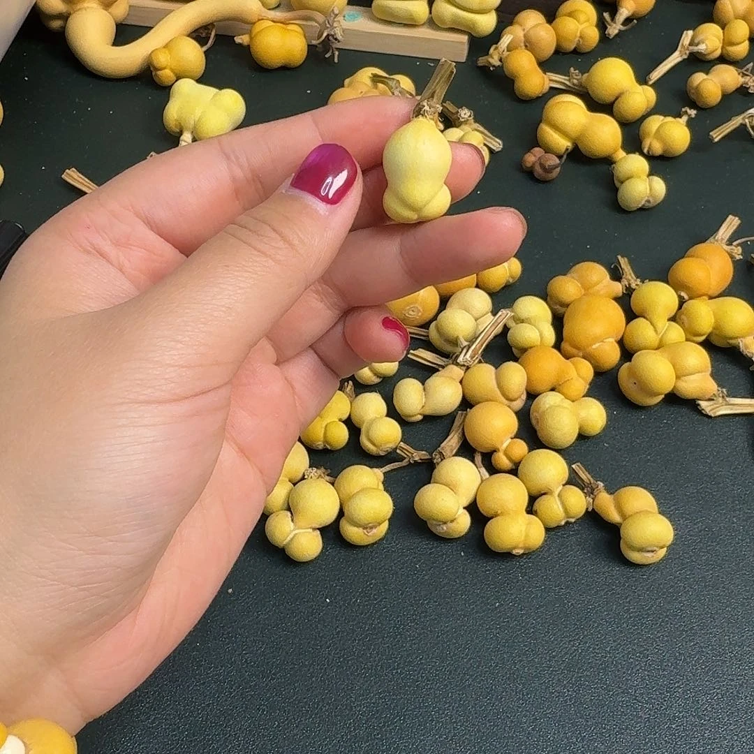 星***з大叶紫檀（黑酸枝木类）