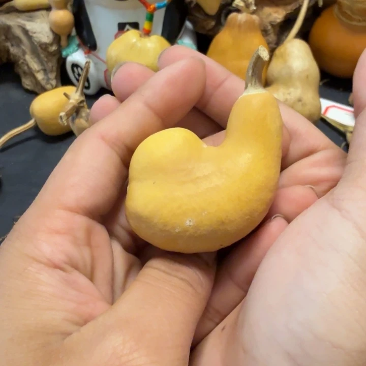 舍***得888…………………………………………