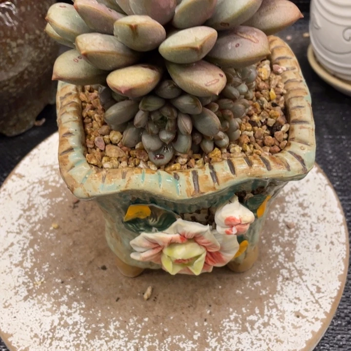 心*弥鹿之森一物一图