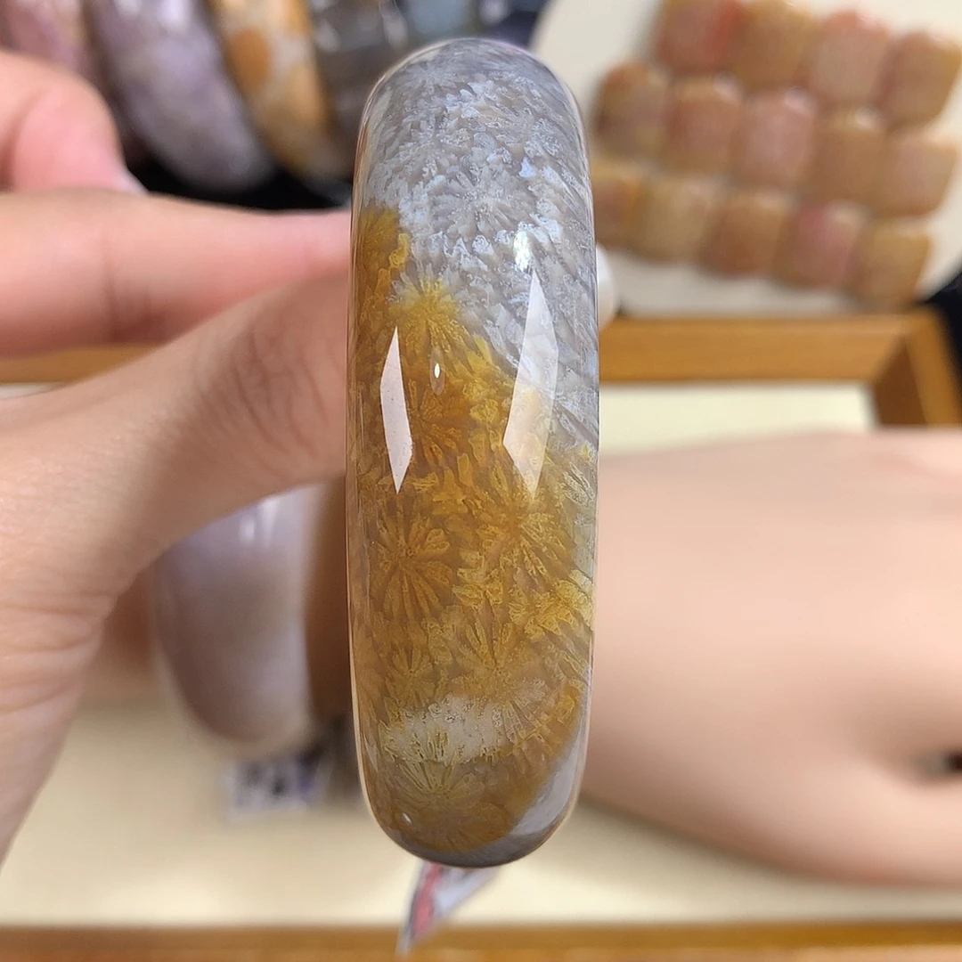 硅化珊瑚（珊瑚玉）未镶嵌吊坠(赠链)25号55圈口