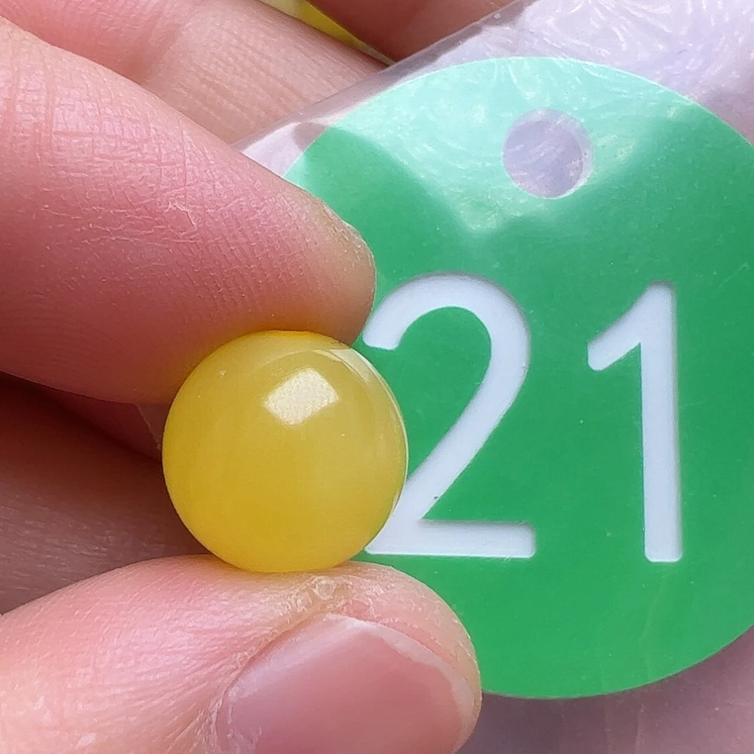 蜜蜡未镶嵌珠宝奇石11m m