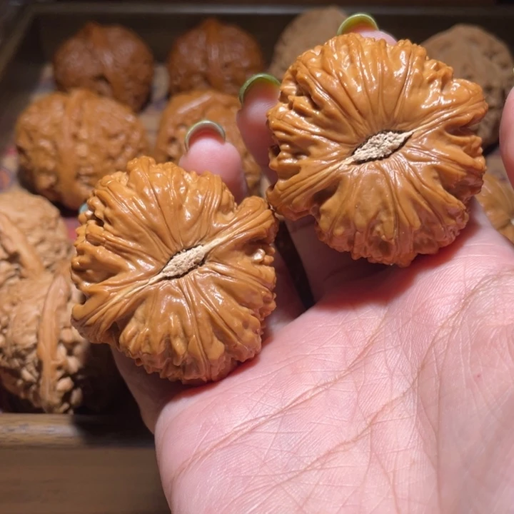 核桃把件J***n44白狮子