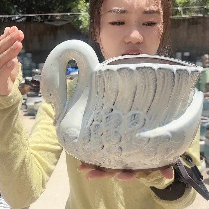 口径18高度18一个大白鹅花盆