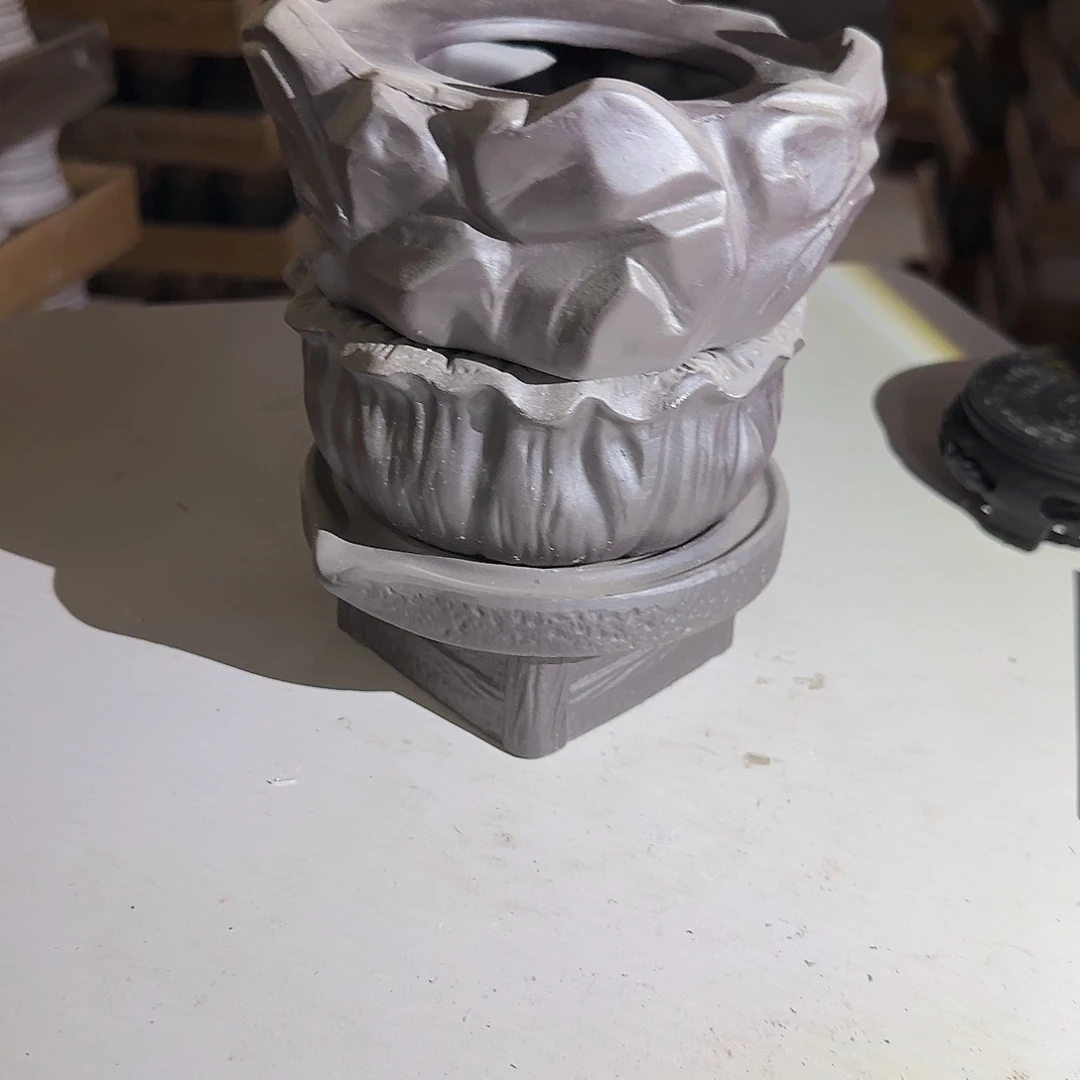 3个无孔水仙········